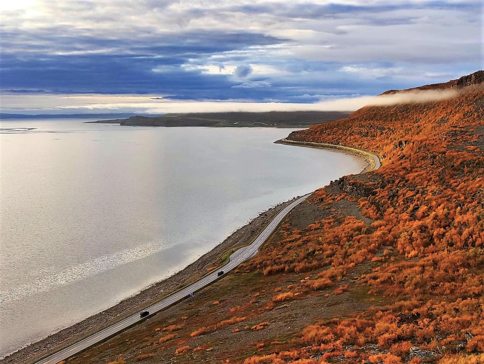 Varangertunet bed&breakfast Jakobselv Eksteriør bilde